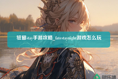 驻留stay手游攻略_fatestaynight游戏怎么玩